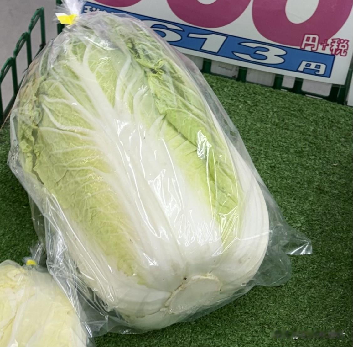 日本一家小菜店，
长野产的大白菜，
根部也是白色的，
没变色。
应该没用甲醛处理