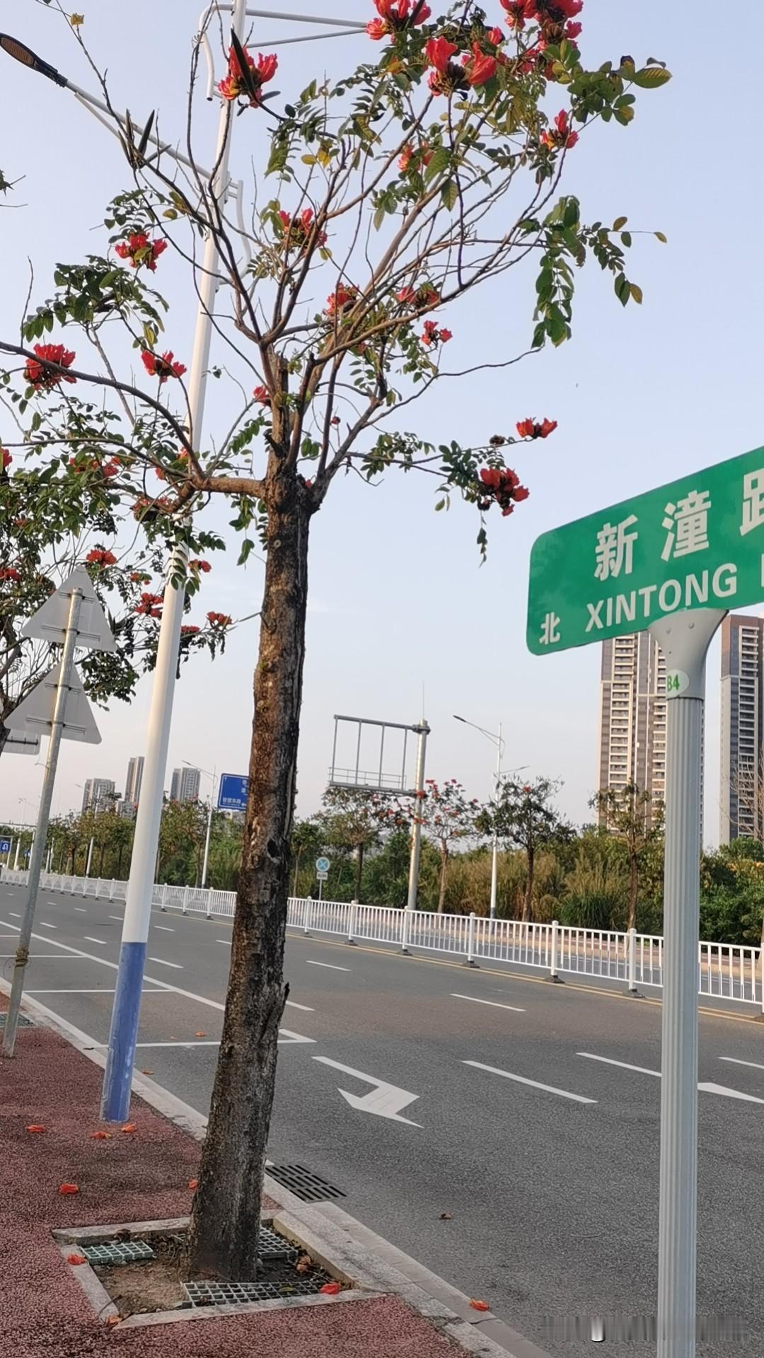 堂妹结婚时，自己把10万元私房钱拿出来，当彩礼。可见她有多爱她老公，结果因为她老