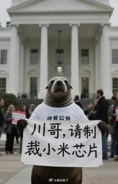 小米第一次做大芯片，绝不会去对比麒麟芯片，这会惹来一身骚。而且看得出来，小米官方