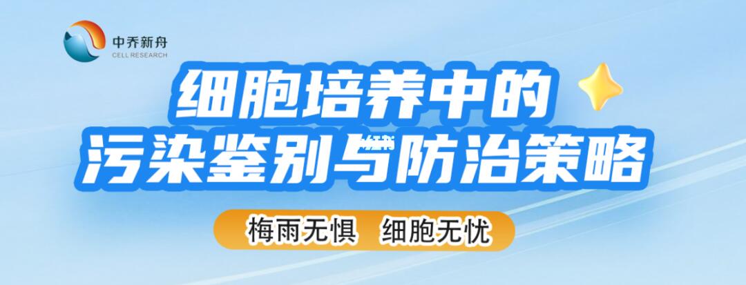 细胞培养中的污染鉴别与防治策略！