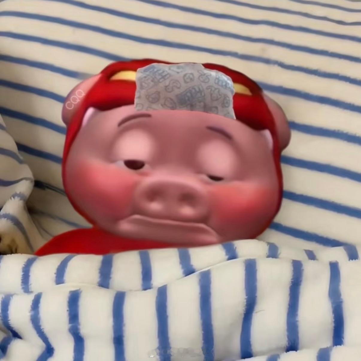还以为自己没发烧是轻症状呢，结果凌晨两点打寒战起鸡皮疙瘩的，爬起来一测体温快38