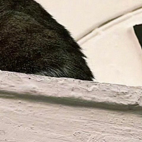 阳光信用🐈互动打卡 此贴🍎5🧱1内👍🏻10生活，需要一点阳光，生命，需