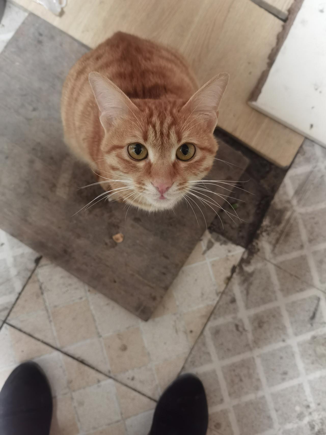 亲们可以搞什么副业增加收入，我这个人情商高，能提供情绪价值，大家对我的印象就是亲