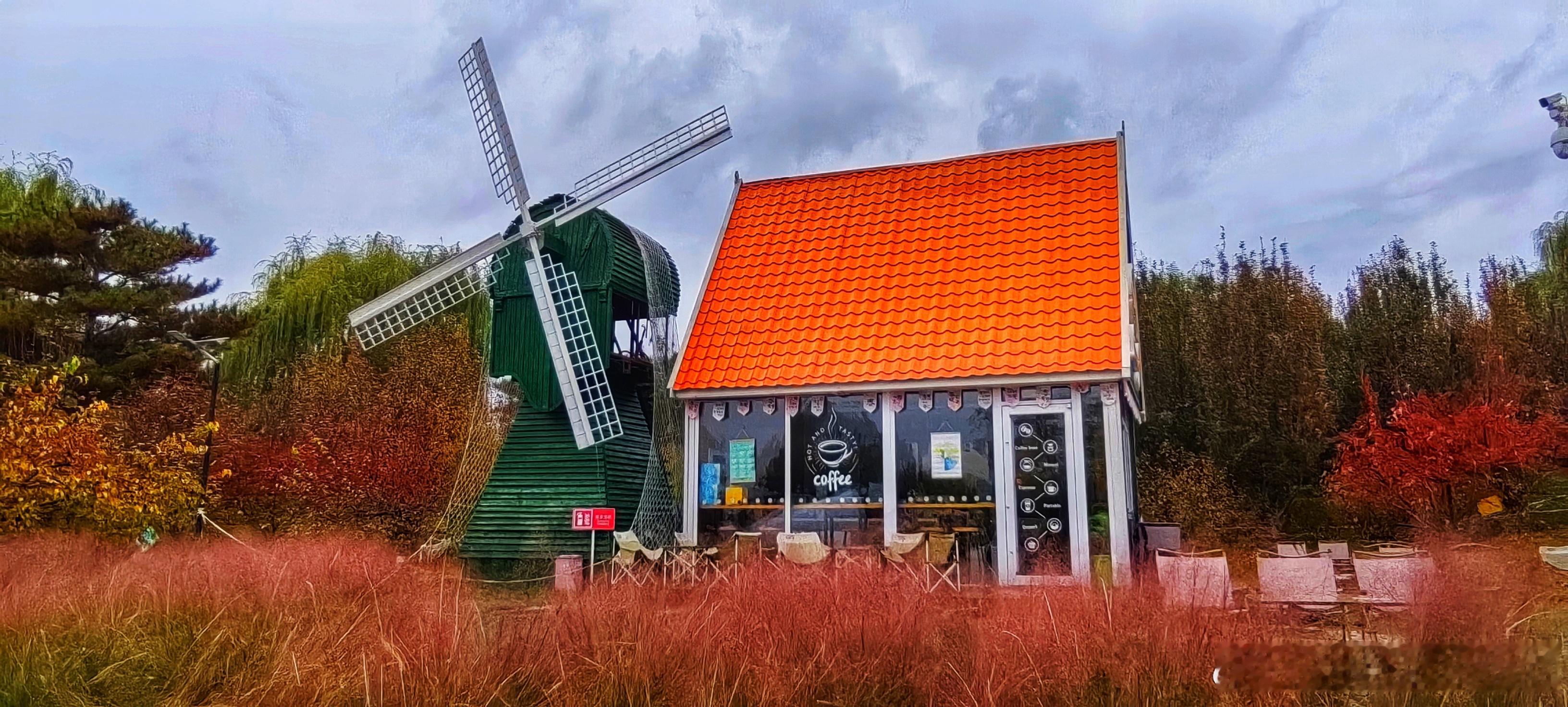  北京世界花卉大观园秋色2025.11.7 摄影   