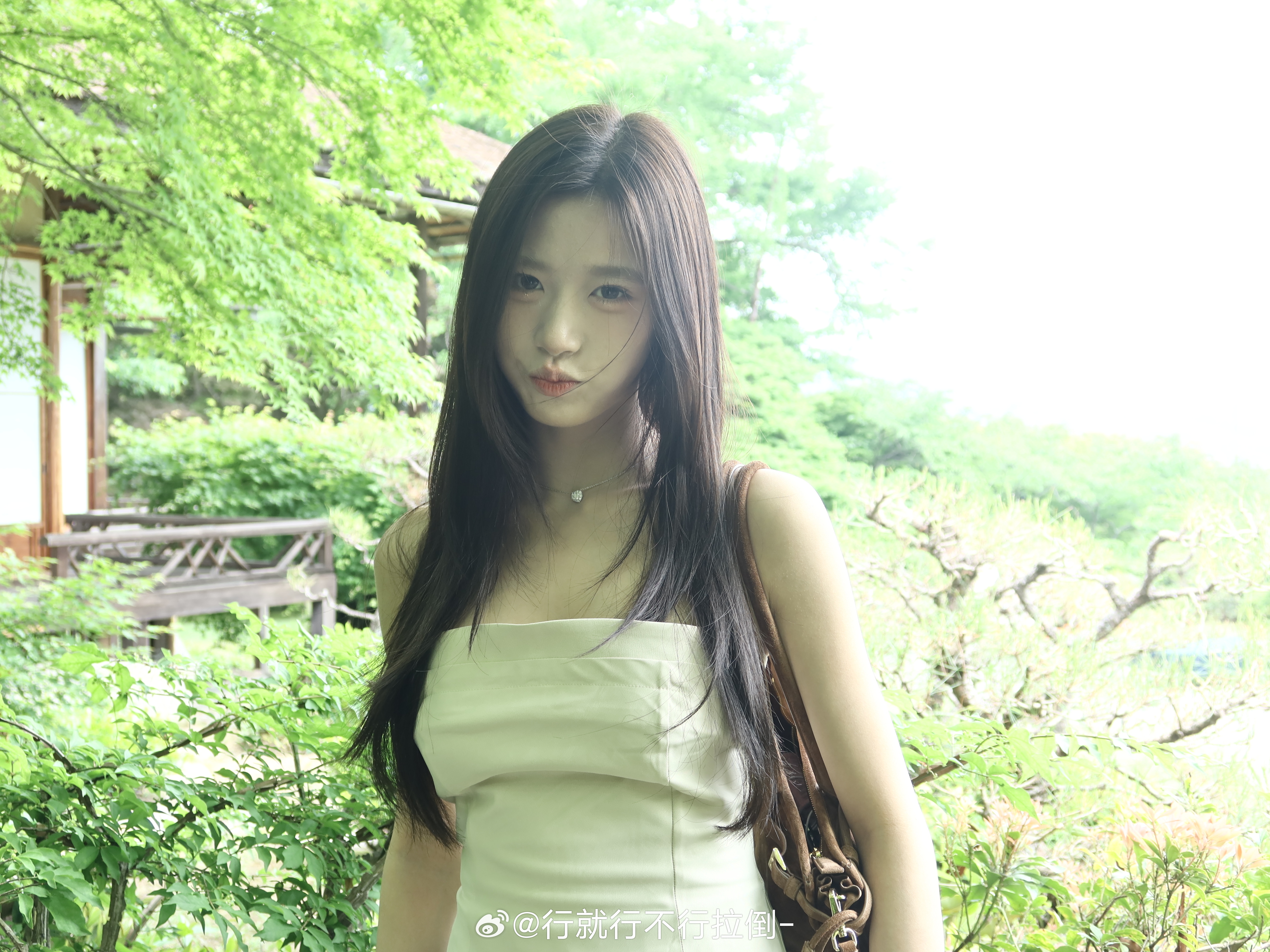 一张没修哈哈哈 照片过期了就不觉得丑了 在日本的一点记忆碎片花碎花