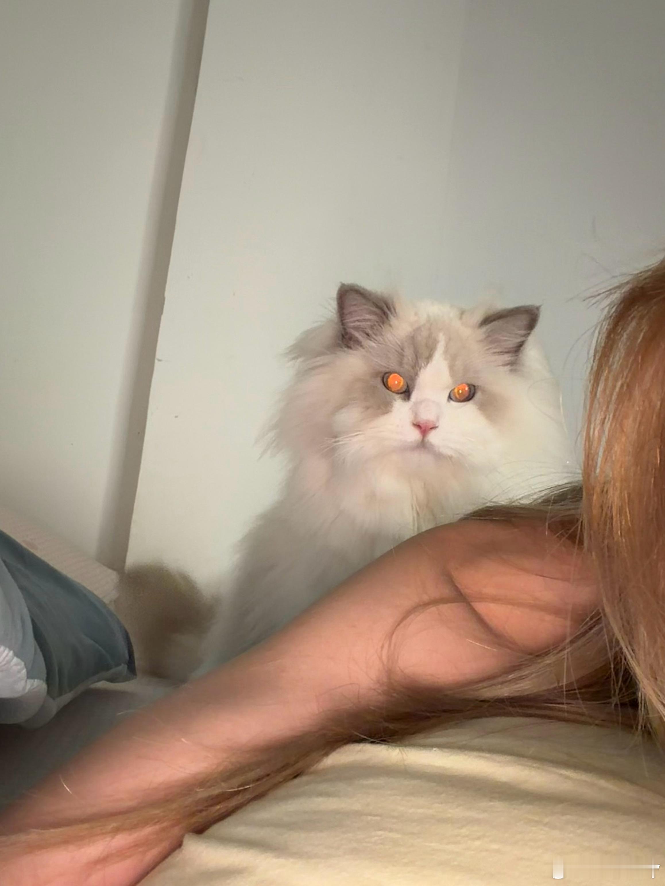 👀 ​​​