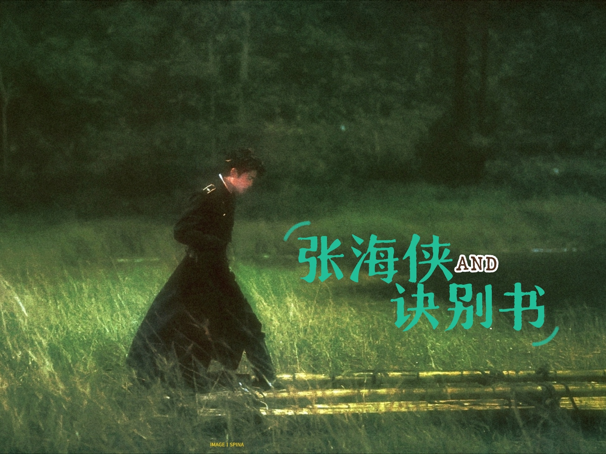 明明27年那么长。丁禹兮张海虾