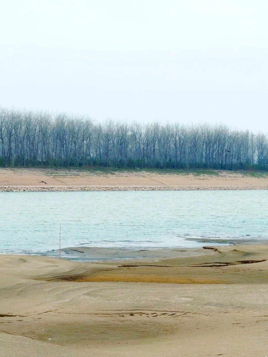 没有人会从早忙到晚，人只会和喜欢的人联系，或许别人真的很忙，但你肯定不重要 