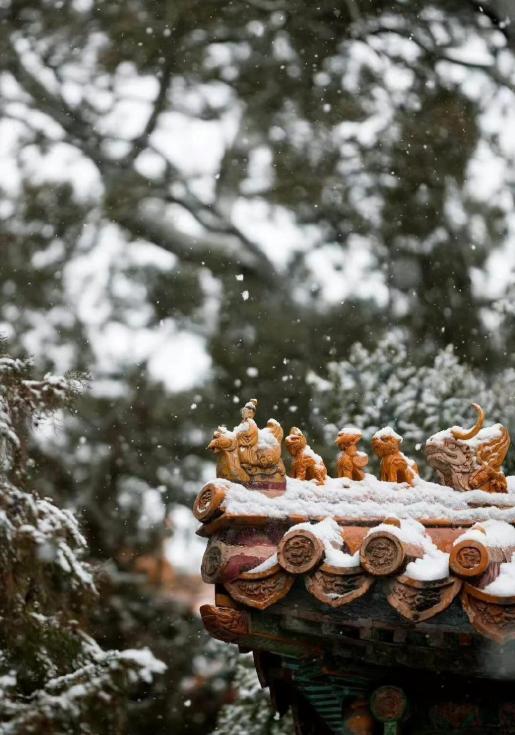 #北京下雪最大遗憾是故宫闭馆#北京迎2023年初雪，网友分享了披银装的故宫，红墙