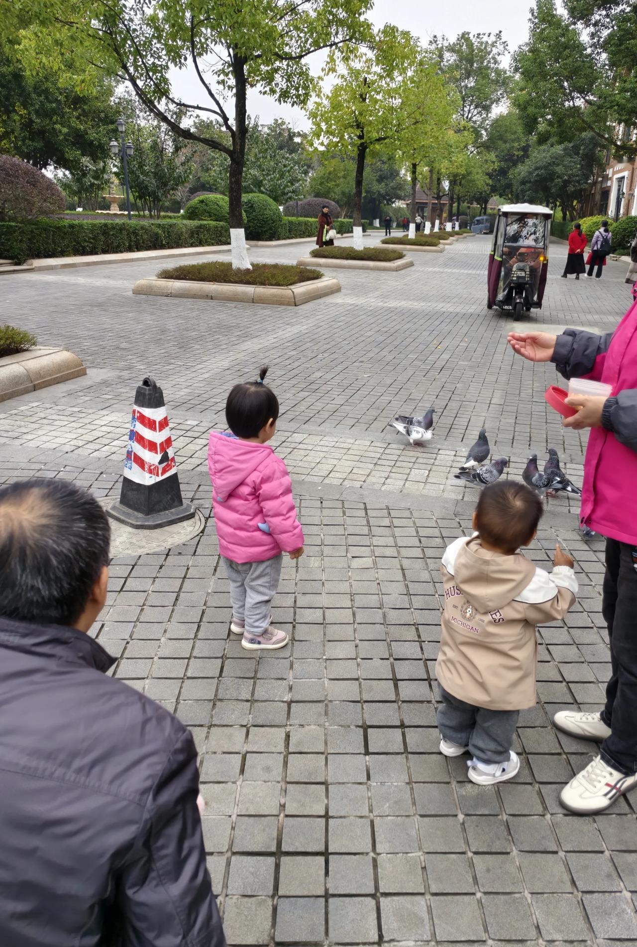 观看鸽子
        ——南木子
公园鸽子七八个，
与人相处不寂寞。
来回觅