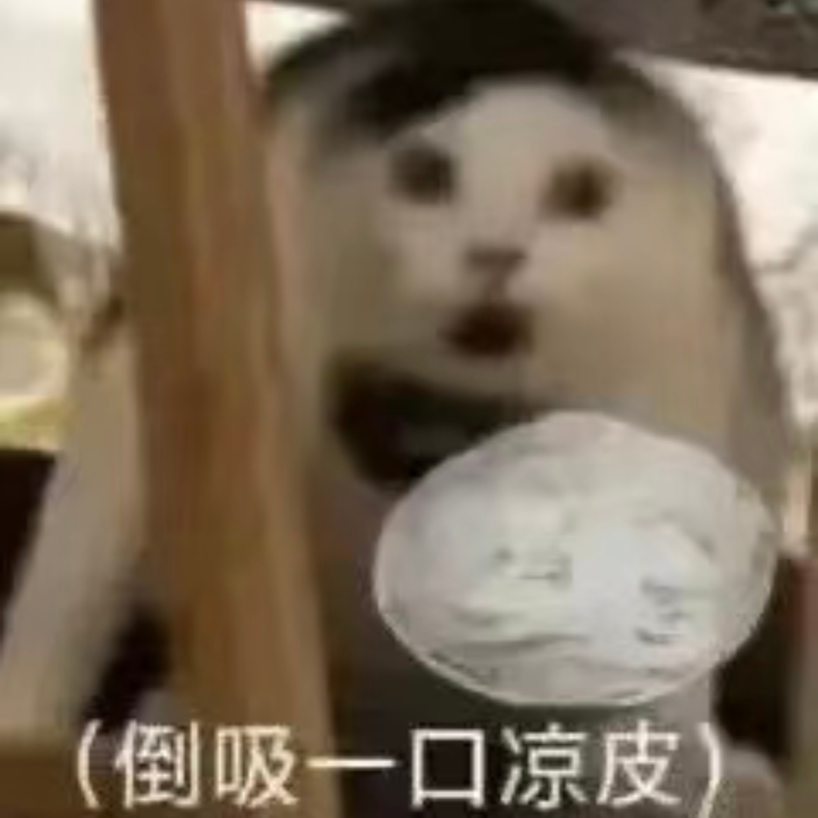 看了一眼，四年前的今天在搞假偶天成啊………………………… ​​​