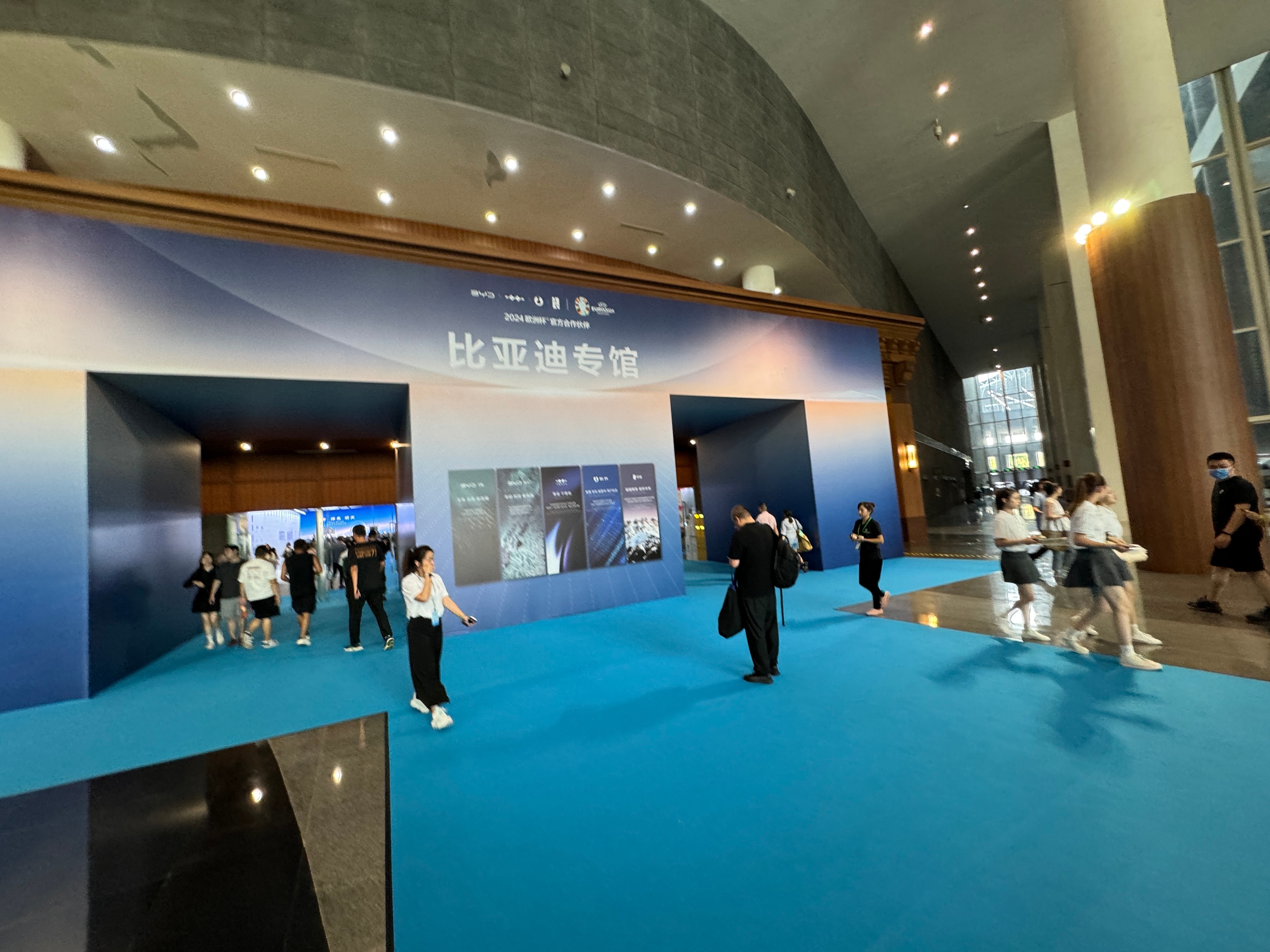 迪王确实牛逼，比亚迪专馆…进去写着新能源世界冠军，搜了新能源排行榜，前十里面八个