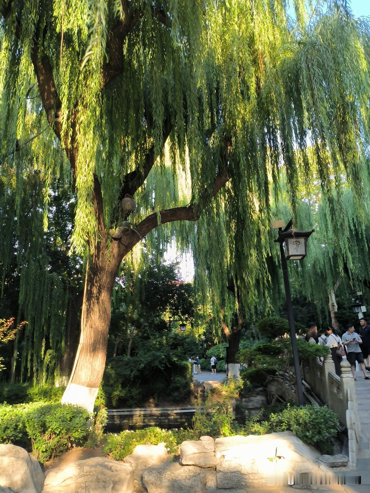 小朋友们山东旅游印象最深之一的是:
在趵突泉边上玩水。
炎热的天，脚上踩着的却是