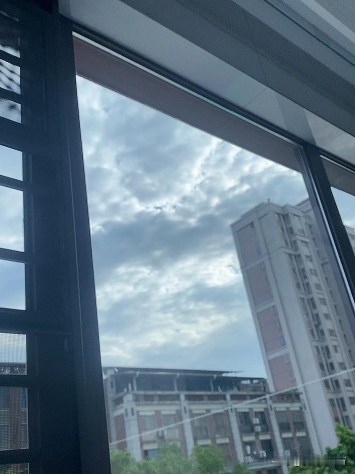 你认为《主角》算的上是一部好剧吗浪漫花海随手拍 分享一张花海照片 你看《主角》时