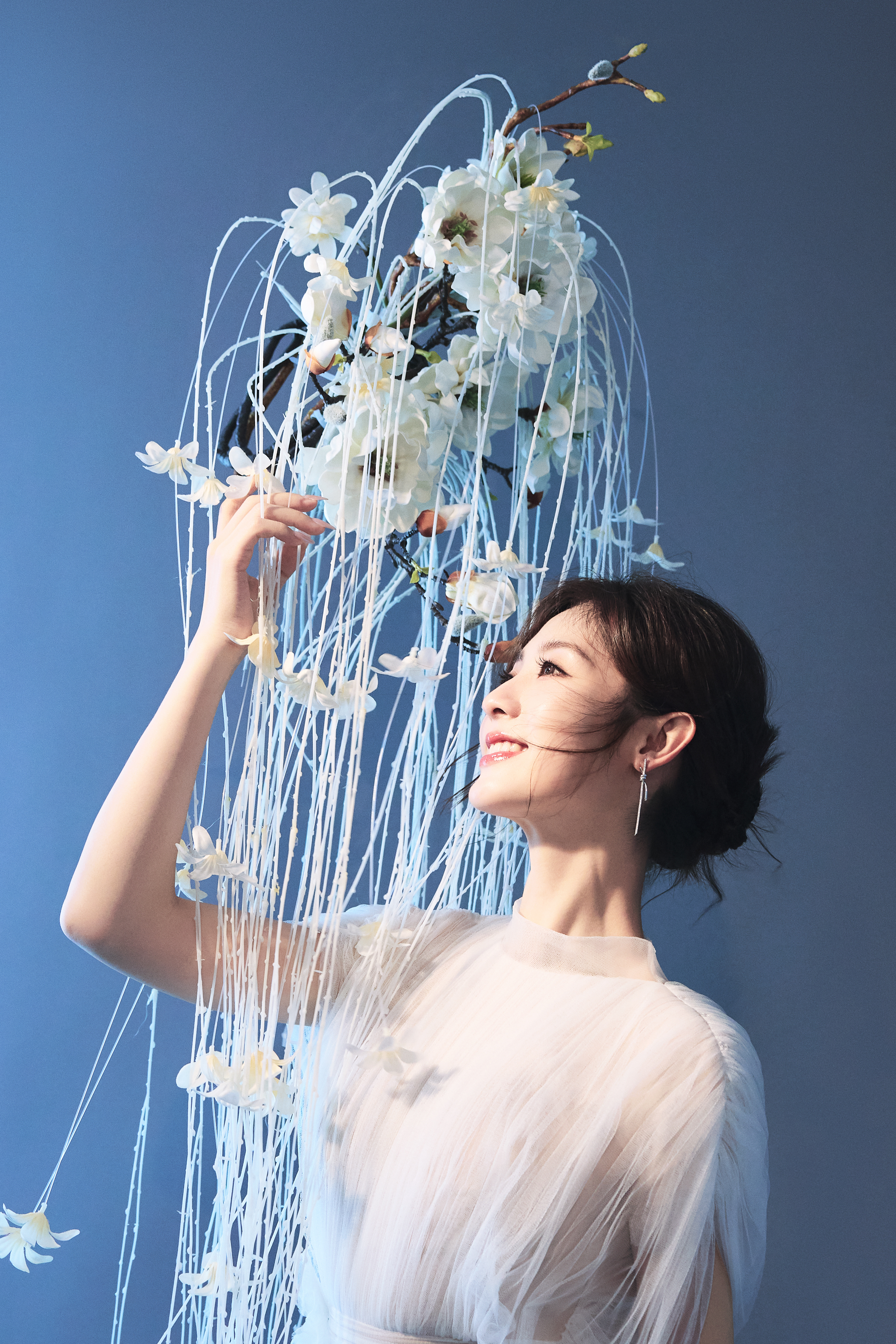 邢菲 