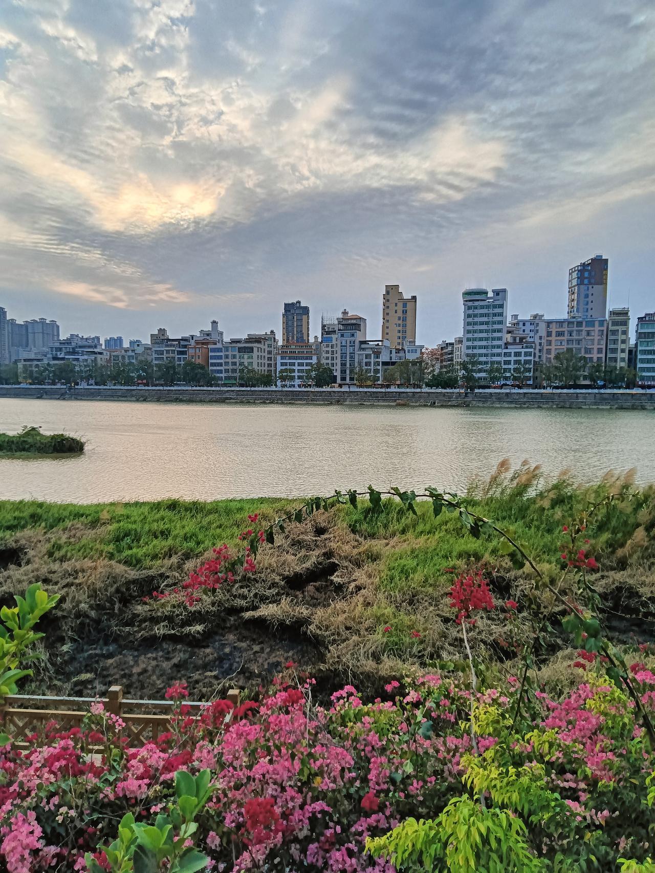 大企业落地茂名，助力茂名经济发展的双引擎动力！
近几年（2023–2026）茂名