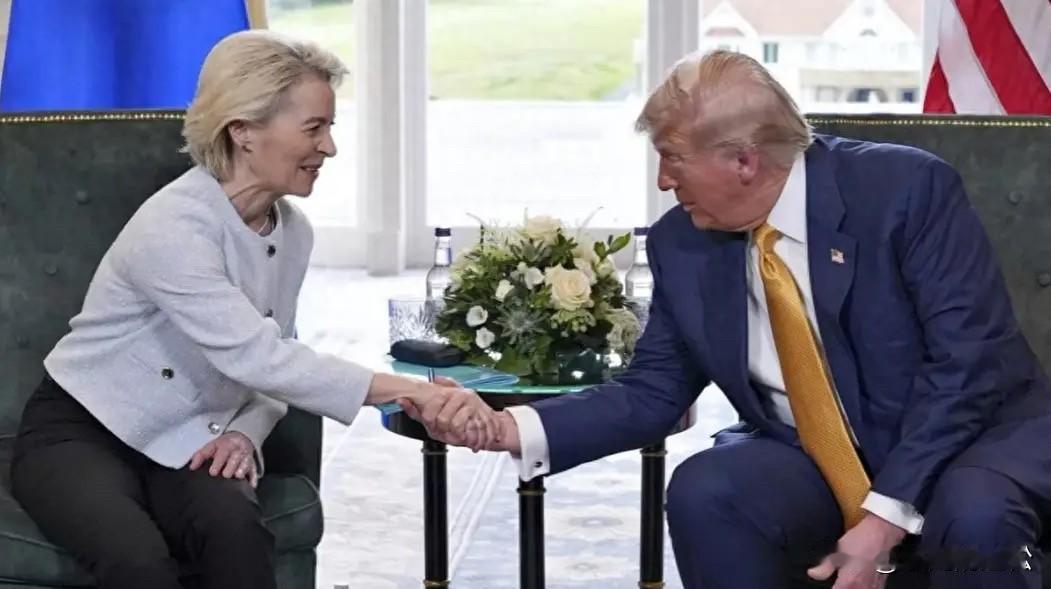 欧盟叫板美国，美国一瞪眼，欧盟又怂了！
美国护犊子，因为马斯克的X平台遭欧盟1.