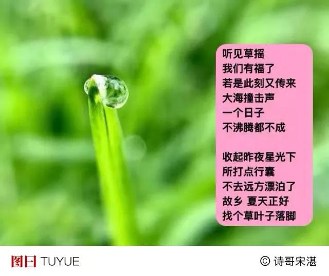 有花 开在窗前
有雨 飘过树尖
有只麻雀
雨中洗刷翅膀
·
有微风 
轻轻吹了下