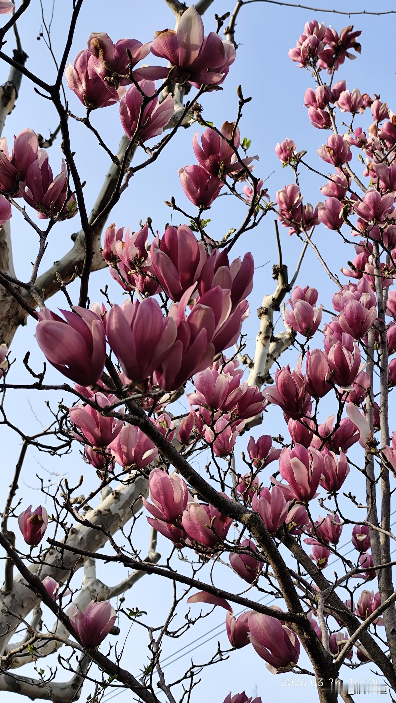 环境  体验  经济等因素构成  如果人类在一个环境污染  食品不安全且外出要查