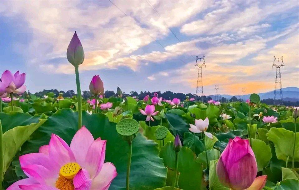 聪明的男人择偶时，会避开有这4个特征的女人。
一是过度物质的女人，只看重金钱和物