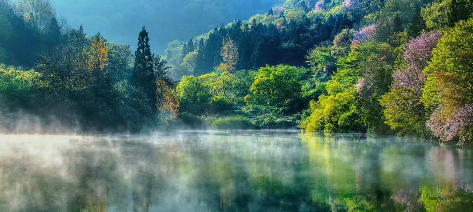 认知和境遇永远都是向新展开，就像枝头的花朵，也从来都不是去年的模样，生存就是进化