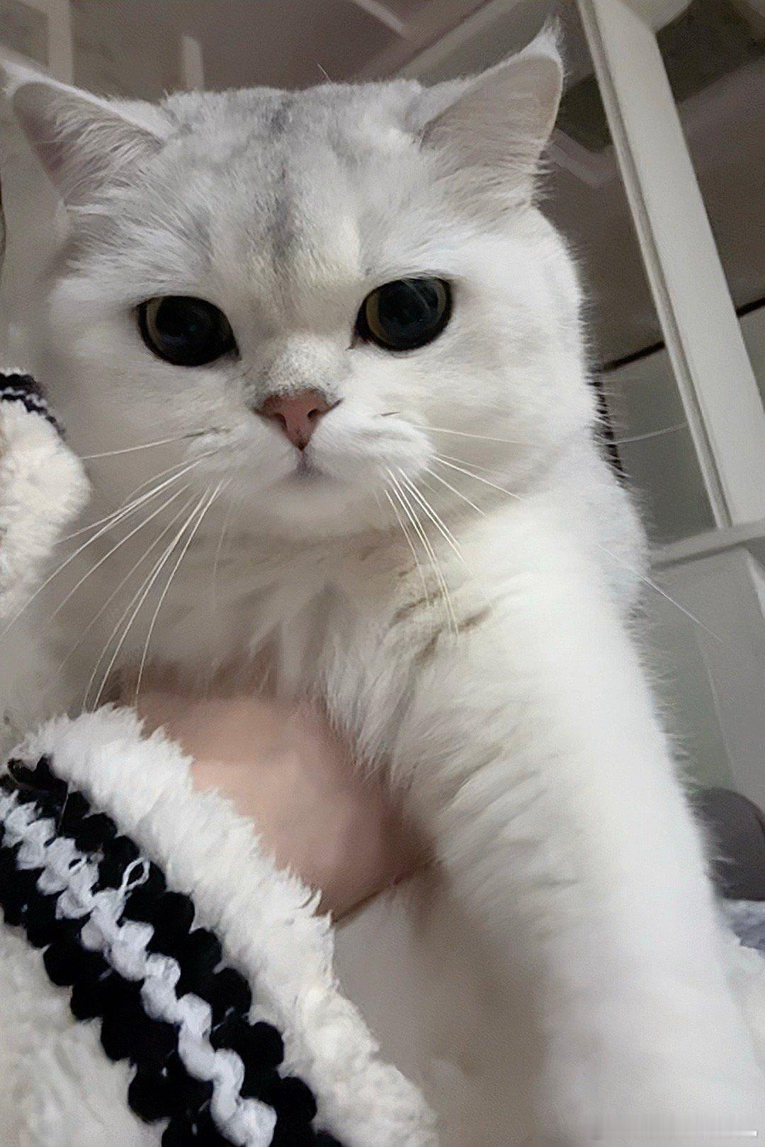 我的宝 我的贝 我的小宝贝🥰 