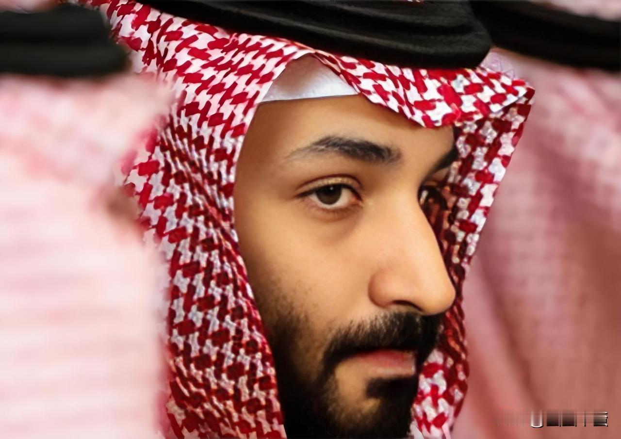 沙特王储小萨勒曼是中东版秦王李世民吗？
在中东地缘格局与沙特王室权力更迭中，穆罕