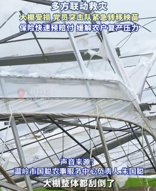 台州农险极速预赔解受灾农户燃眉之急温岭田间定损提速农户复产台风过境致使温岭农田受