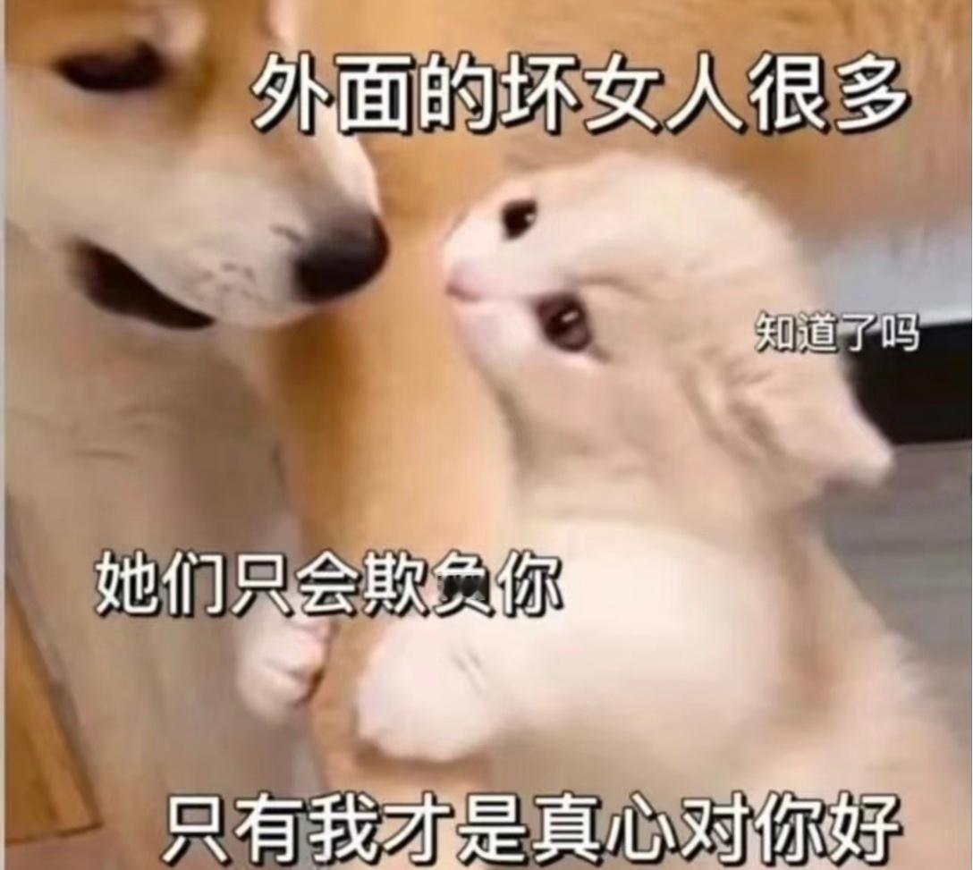 今儿你发，明儿她发，如此间错开来，岂不天天有糖吃？不至于太冷清，也不至于太热闹