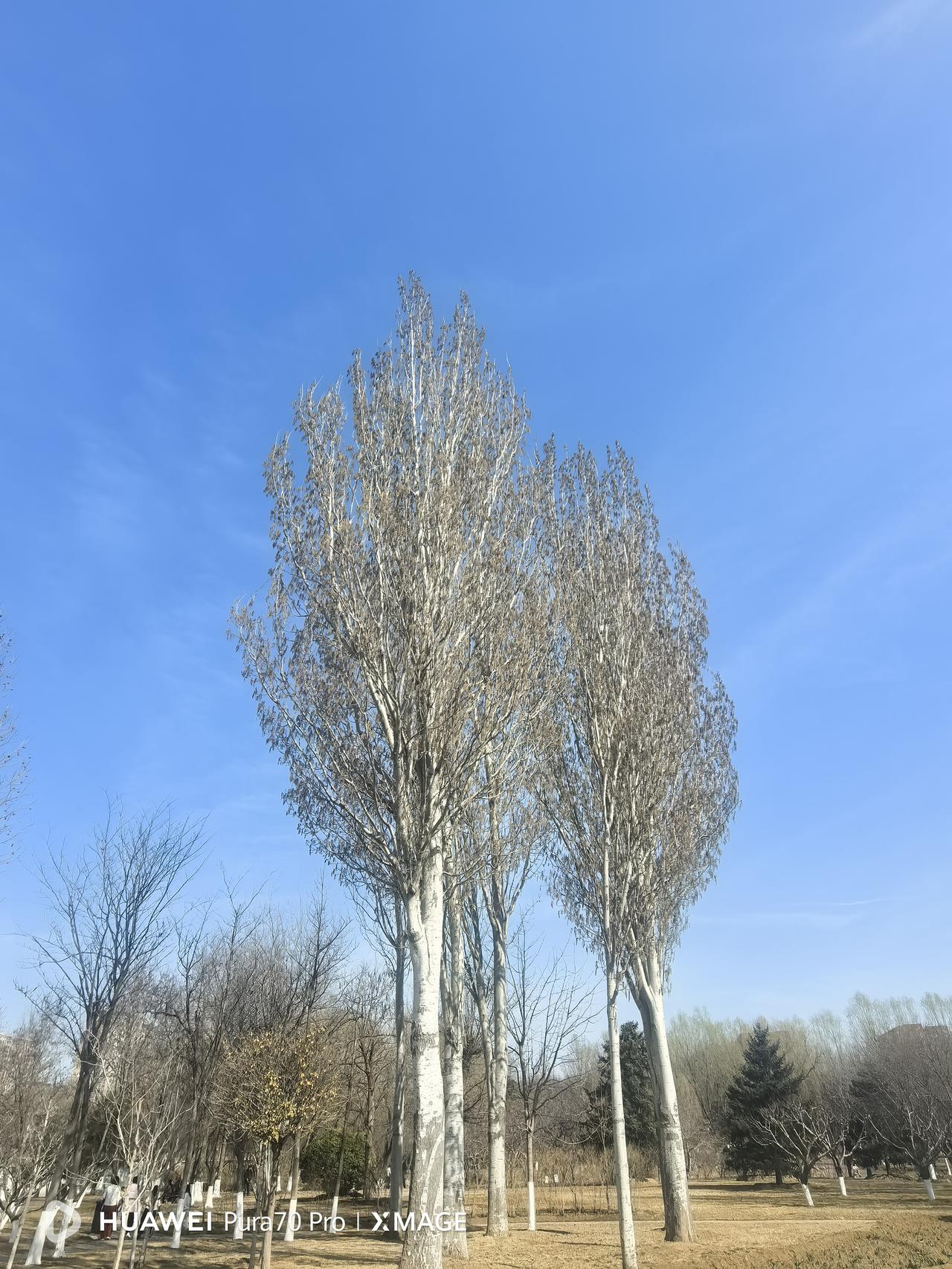 退休以后，应该学会把复杂的生活过到简单；把简单的生活过到精致。

回归社会，成为