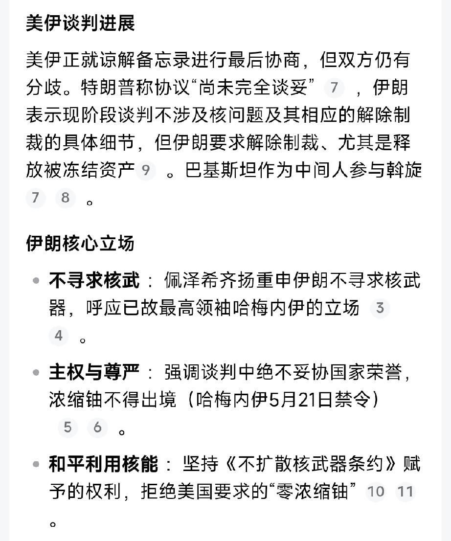 此地无银三百两？


5月24日，伊朗总统佩泽希齐扬公开提出伊朗无核三原则：
