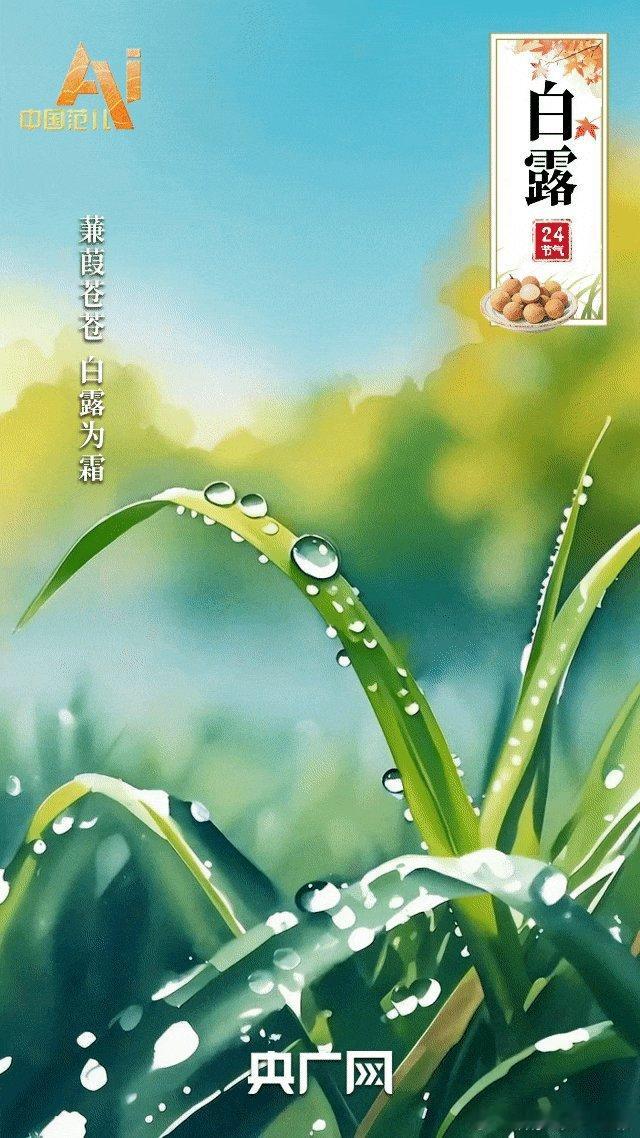 今天我们迎来白露节气，白露至，愿暖意随身，秋乐与共。“白露是整个秋天最好的时辰，