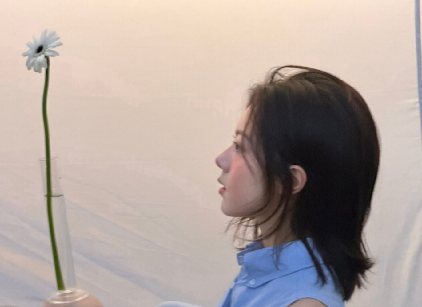 赵今麦徐迟 zjm 赵今麦无可替代夏日的光，在柔软的云朵下翻飞，折出朦胧的光，像