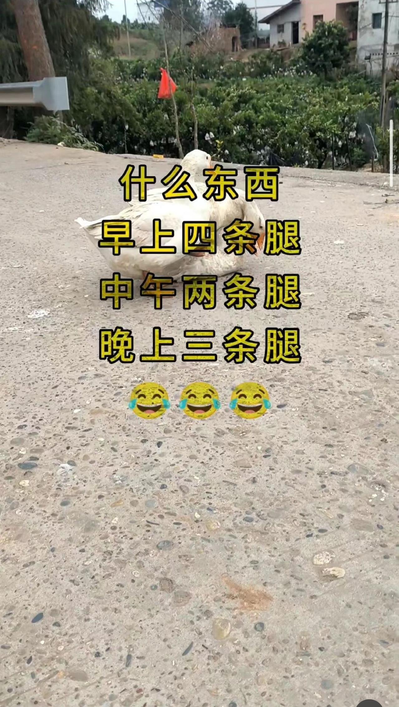 有谁知道的没？请高手接招吧！