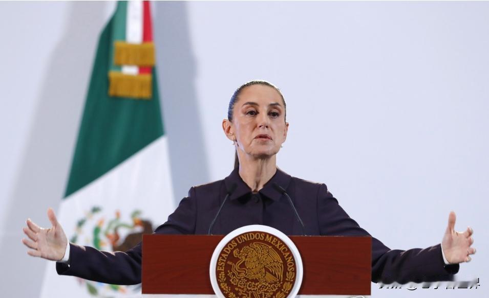 【墨西哥总统：美国有责任解决自身对毒品的需求】
墨西哥城时间2026年1月5日，