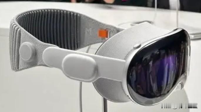 目前，苹果公司于美国当地时间1月19日开始接受头显设备 Apple Vision