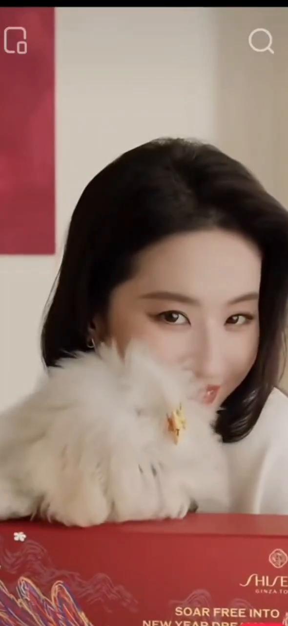 新年伊始，新春快乐。这份心意，愿你虎年如意。