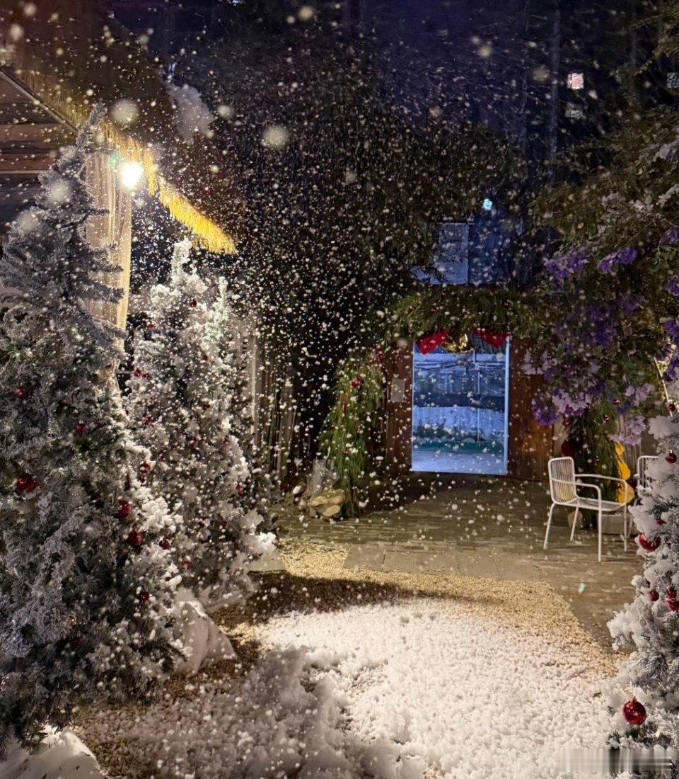 祝大家圣诞节快乐🎄 