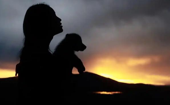 狼王格林大概率已不在世，但存在不同说法，尚无官方证实的死亡记录。

2020年最