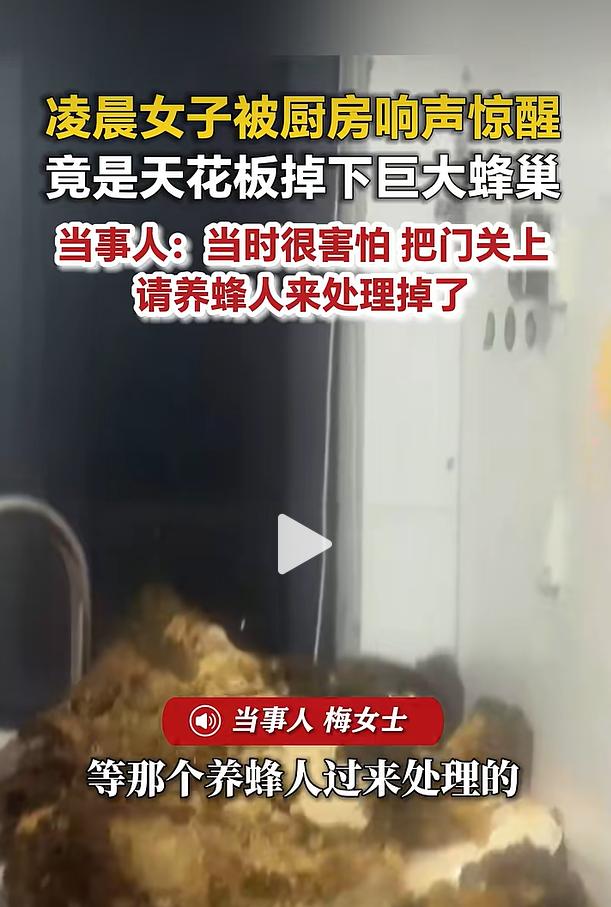 7 月 19 日凌晨，浙江宁波一位梅女士在家中遭遇惊险一幕，熟睡中被厨房传来的巨