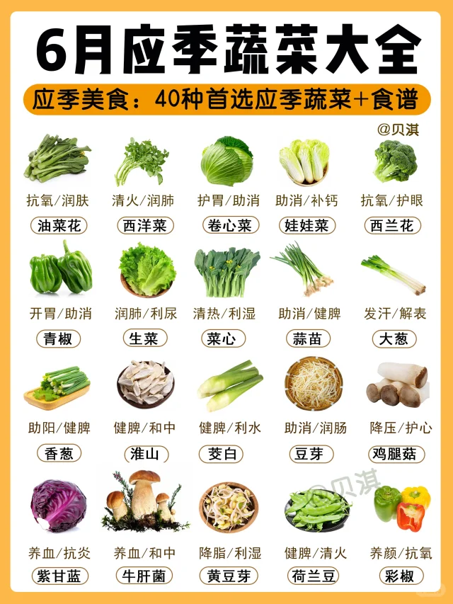 6月应季蔬菜速查‼️附夏季下饭家常菜