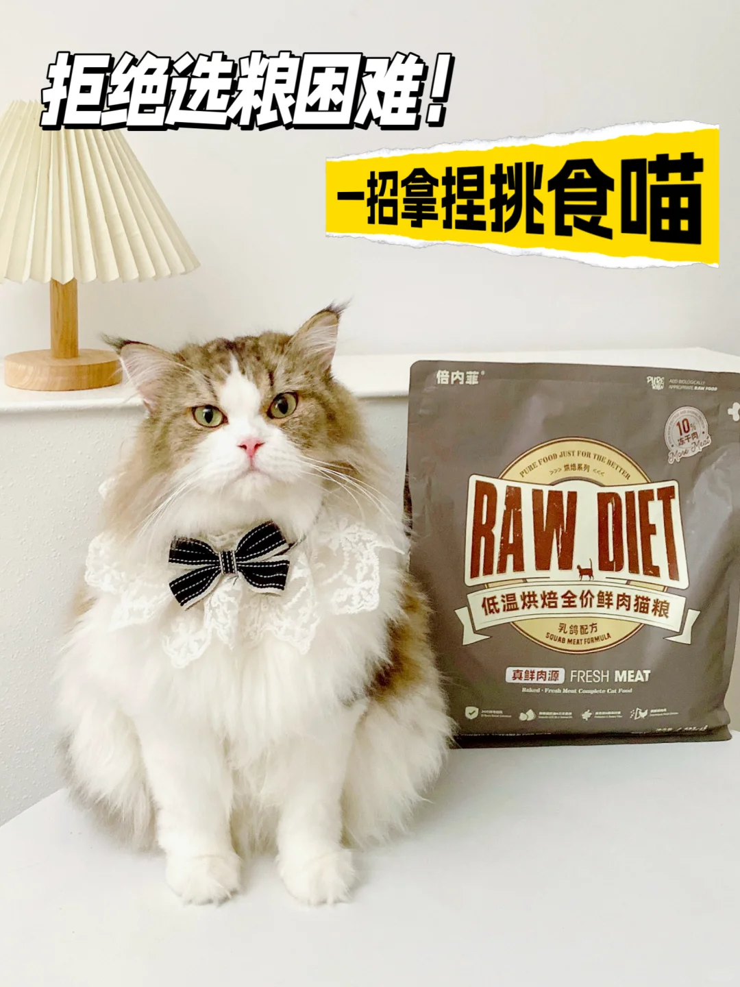 拒绝选粮困难，一招拿捏挑食喵主子！