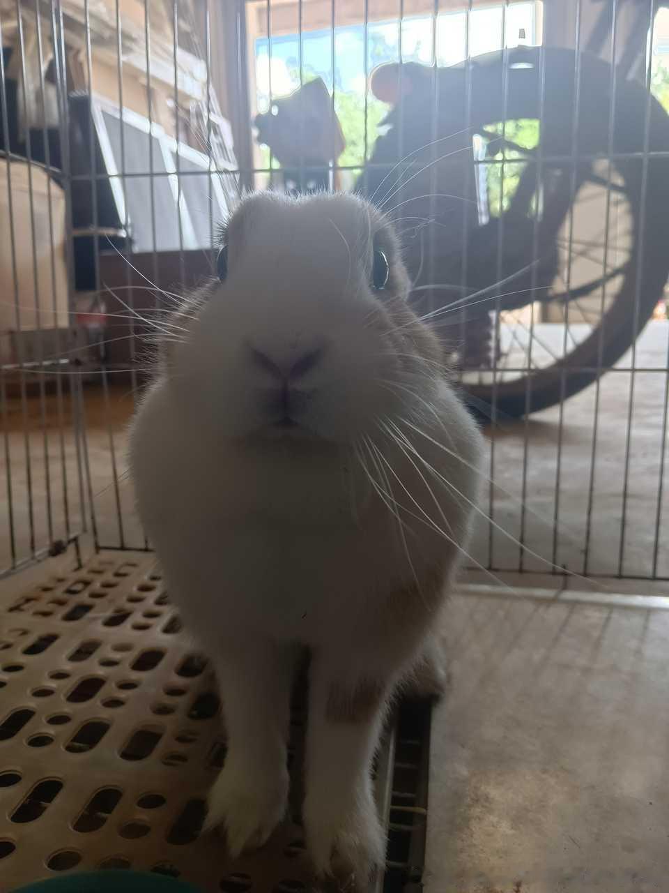 14326🐇【完全小宝宝】 