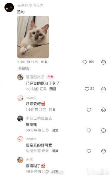 江苏这天气把家里的泰国佬都热褪色了 