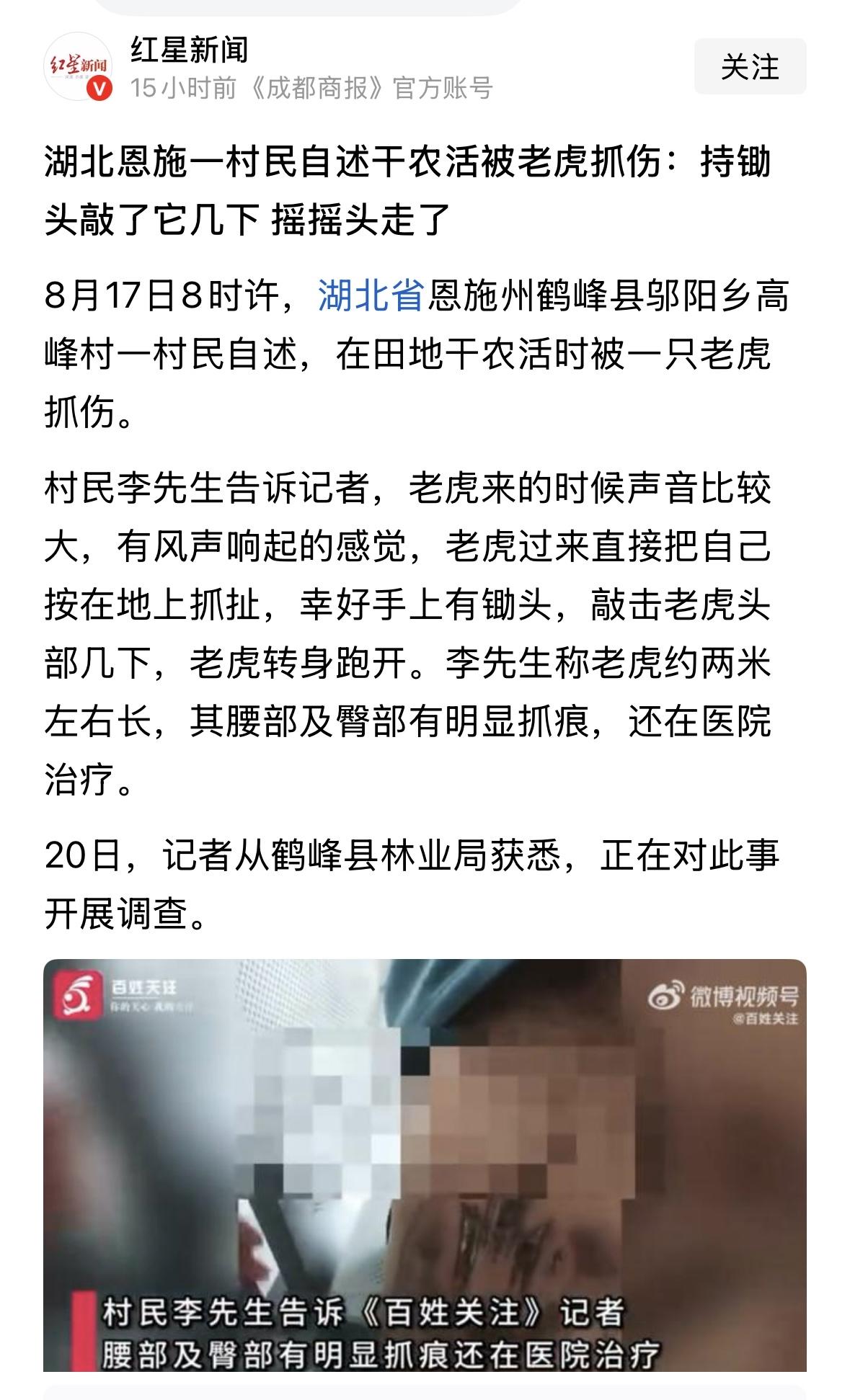 又一个周老虎？如果是真的就好了！