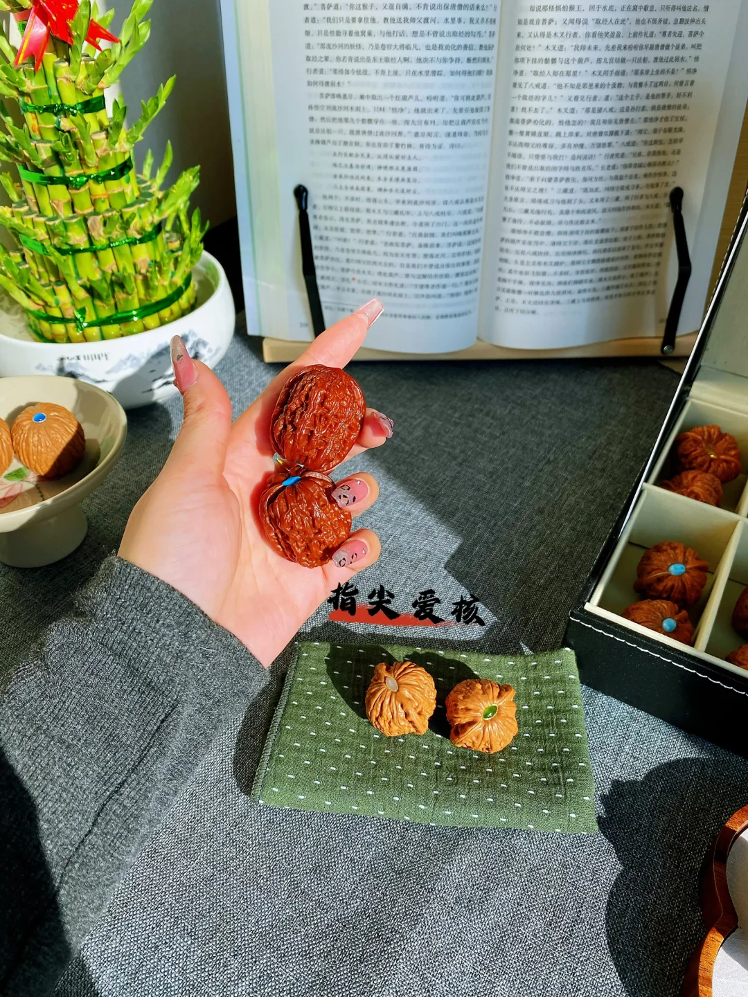 此刻 阳光正好🌞