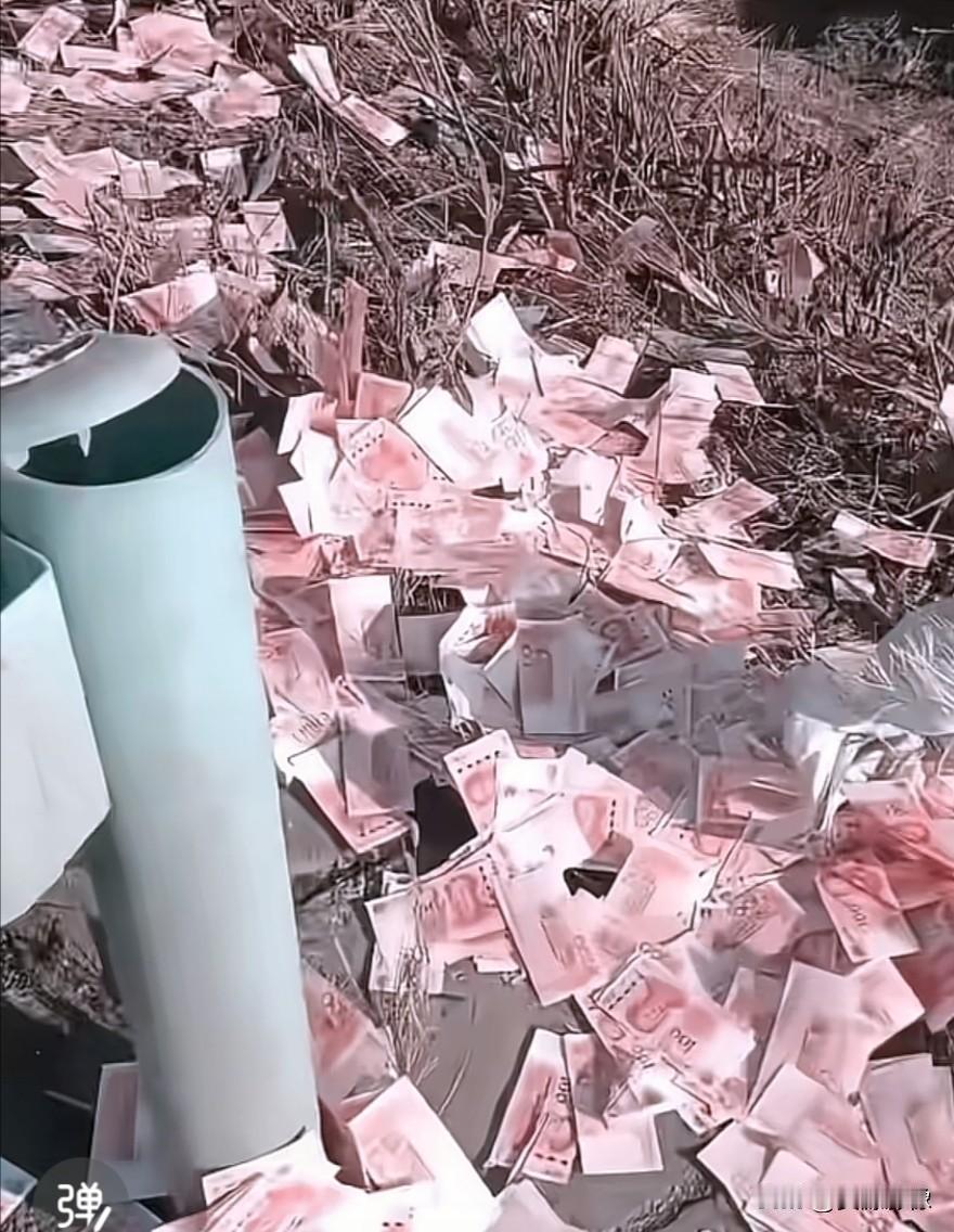 高速路上一工程老板，不小心把几百万用来发工资的现金，全弄洒出来，而开着车的这位老
