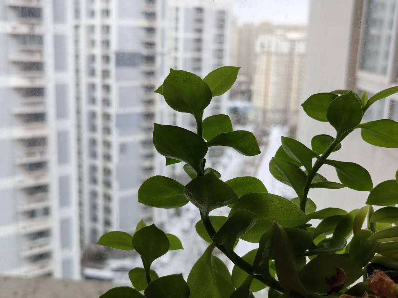 春节，孙辈的压岁钱怎么给？真是一件让人头疼的事。

转眼间，春节就要到了，如何给