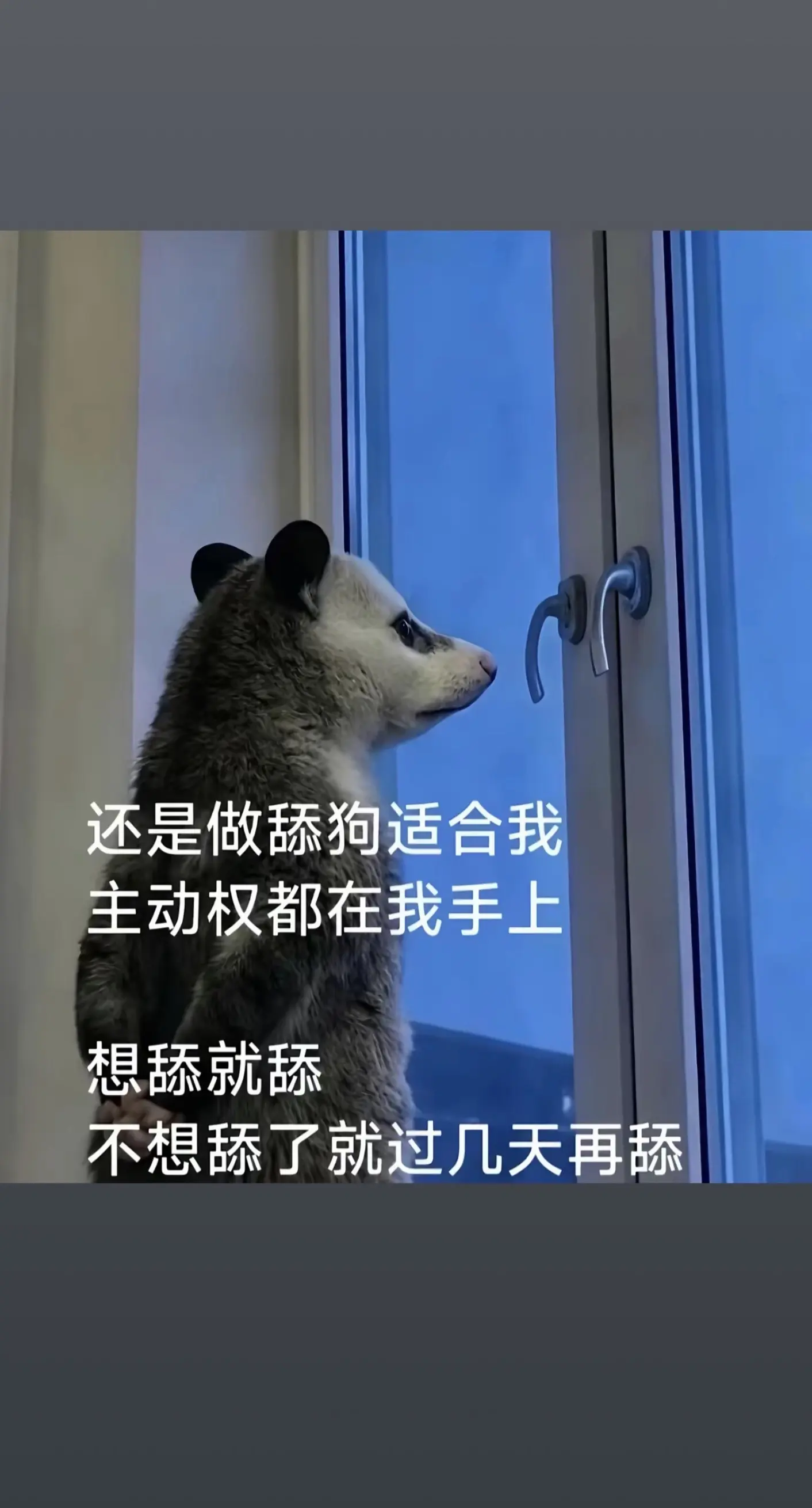 还是喜欢当舔狗