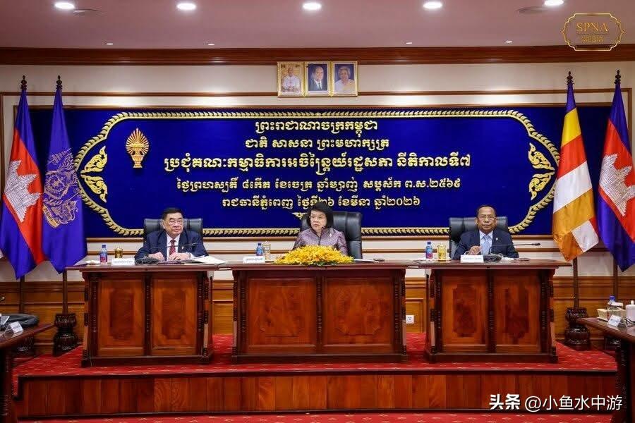 柬埔寨国会审议并全票通过《反电信网络诈骗法》草案

3月30日上午，柬埔寨国会举